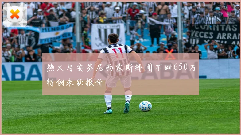 热火与安芬尼西蒙斯绯闻不断650万特例未获报价